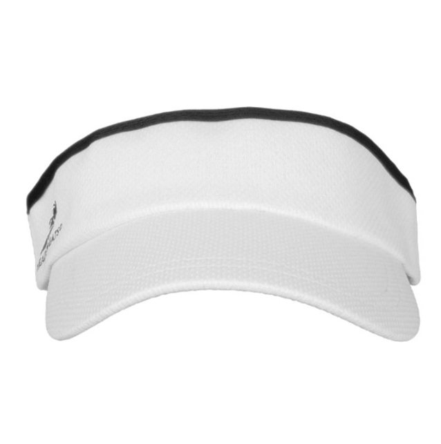 Visor