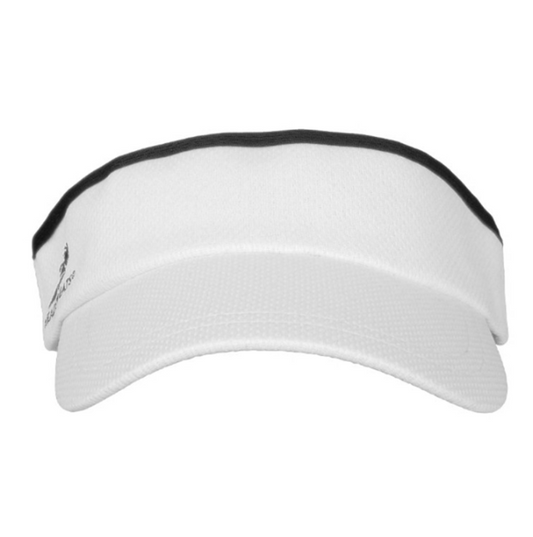 Visor