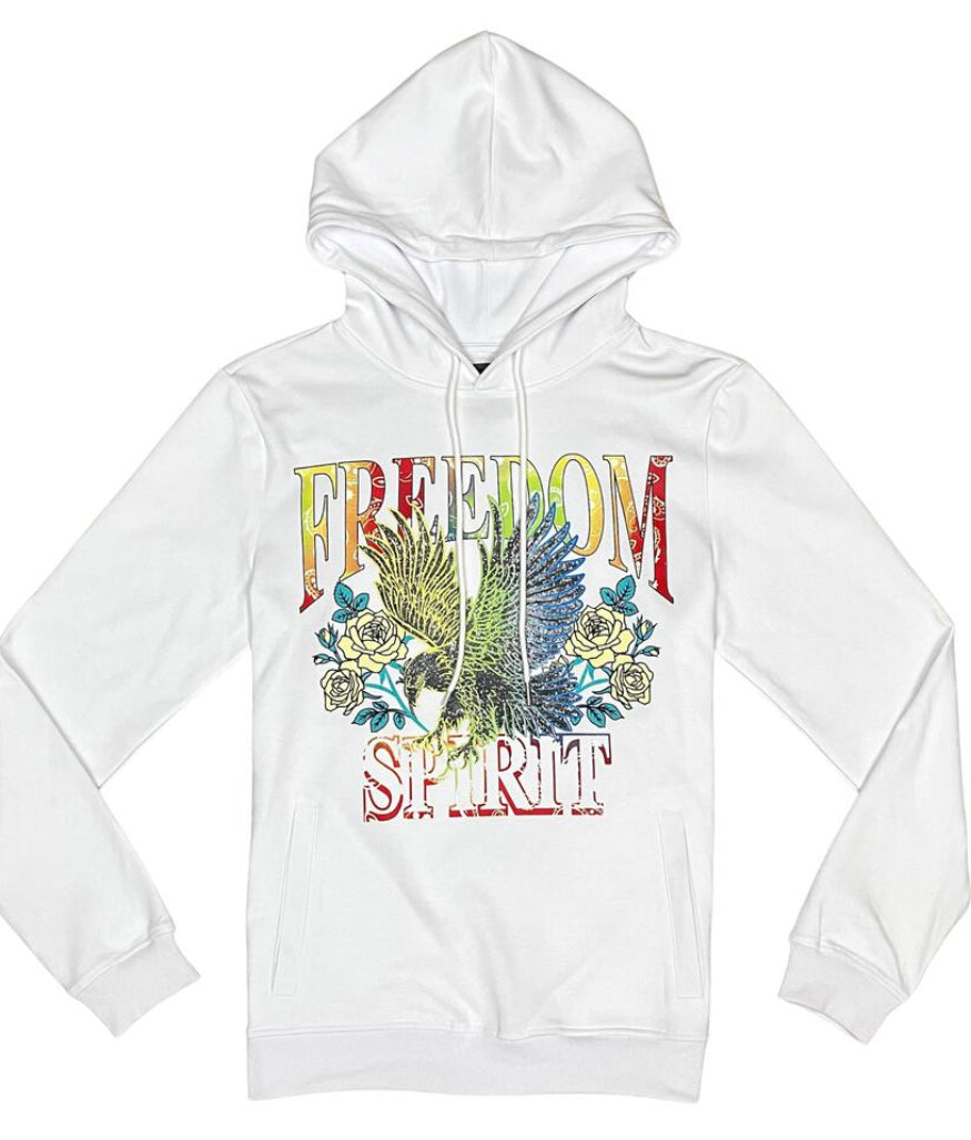 DIVIDE & CONQUER PULLOVER HOODIES (MT51 WHITE)